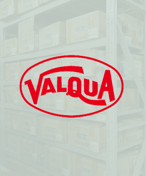 日本VALQUA進口密封圈